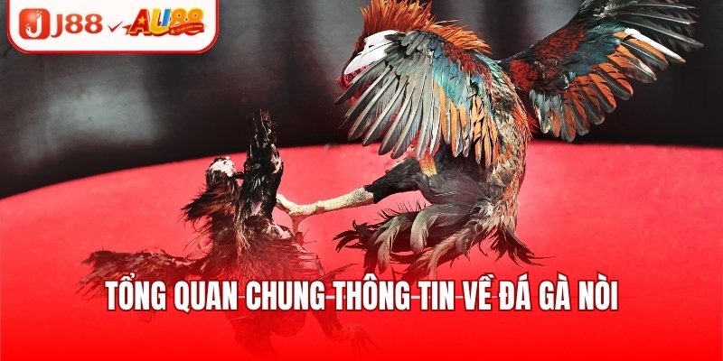 Giới thiệu qua thông tin cơ bản về đá gà SV128