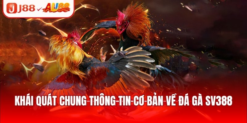 Khái quát chung thông tin cơ bản về đá gà SV388