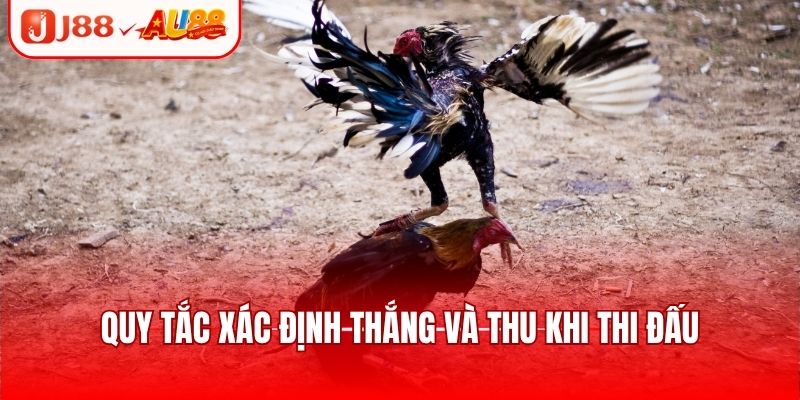 Trận đấu có mức trả thưởng cao tại các cửa cược